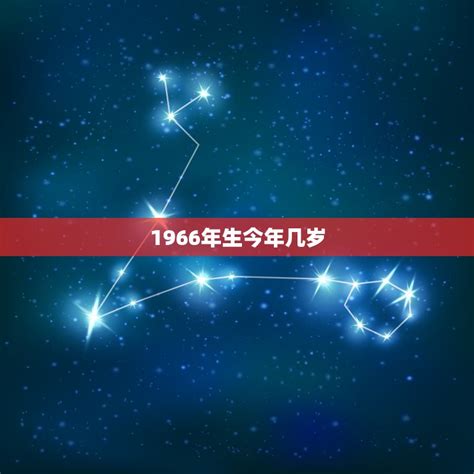 1966年出生|1966年今年多大